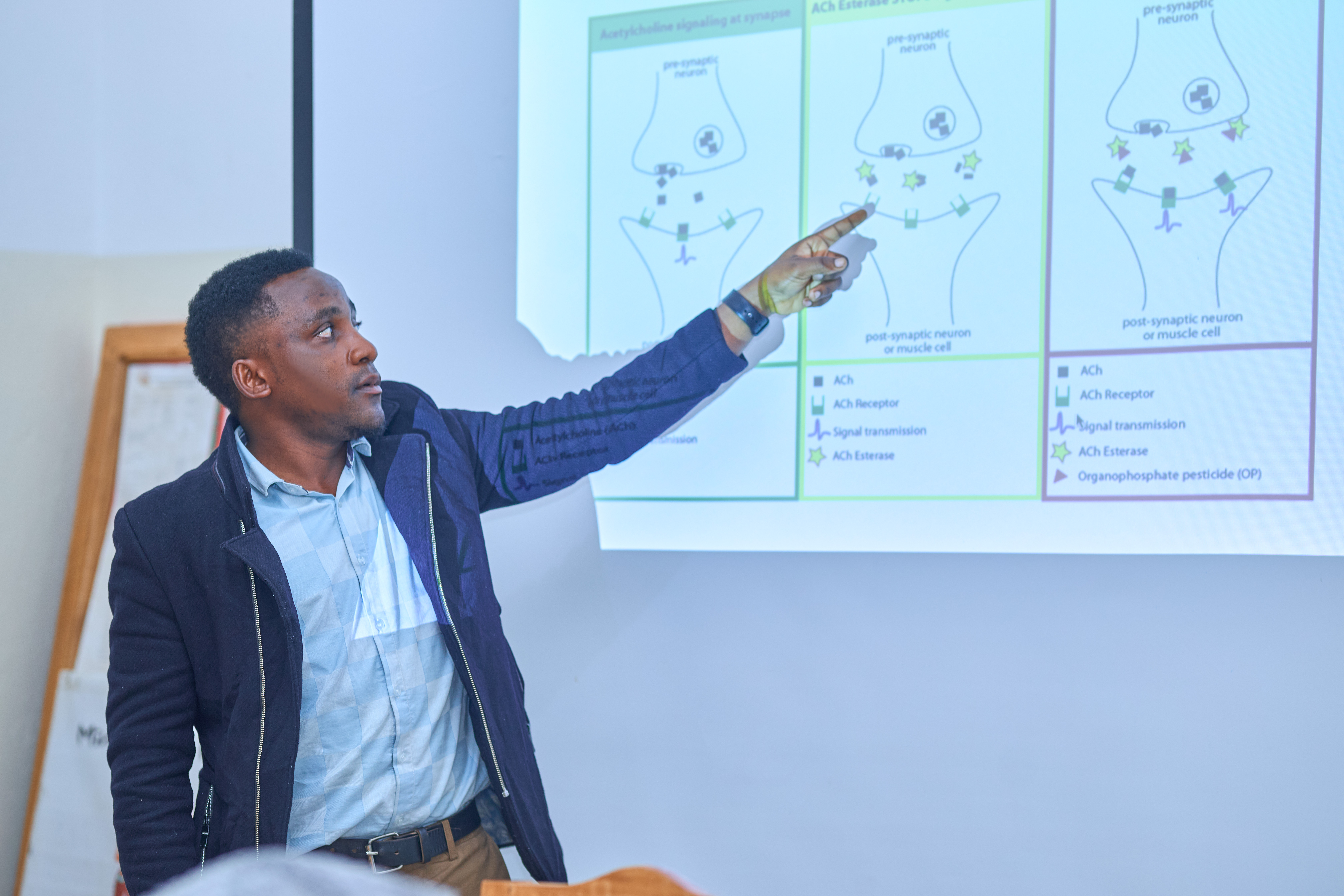 Emergency Procedures